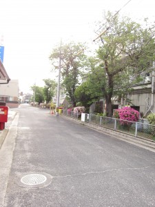 細長いタコ公園