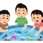 タッチングプールイラスト