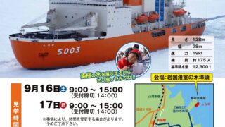 南極の石!特大90㎏!希少なので入手困難!送料無料!場合により手渡可! 南極の石!特大90㎏!希少なので入手困難!送料無料!場合により手渡可!